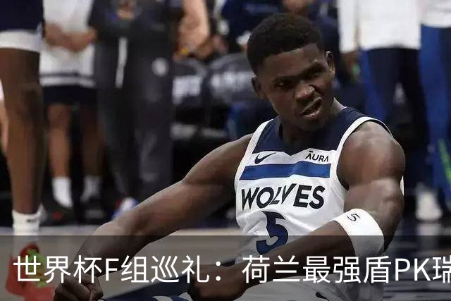 世界杯F组巡礼：荷兰最强盾PK瑞典犀利刀 日本短板明显